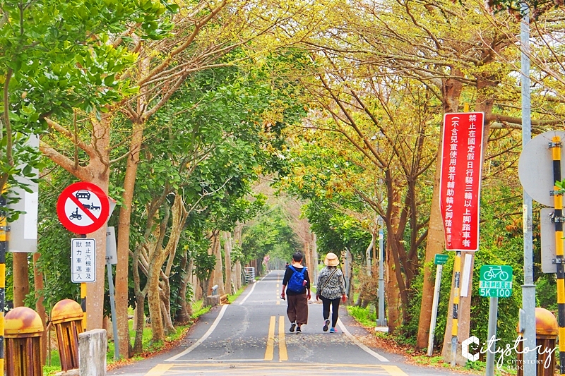 台中潭子景點》潭雅神綠園道～S彎道、波浪車道-攝影必拍森林裡自行車超舒服