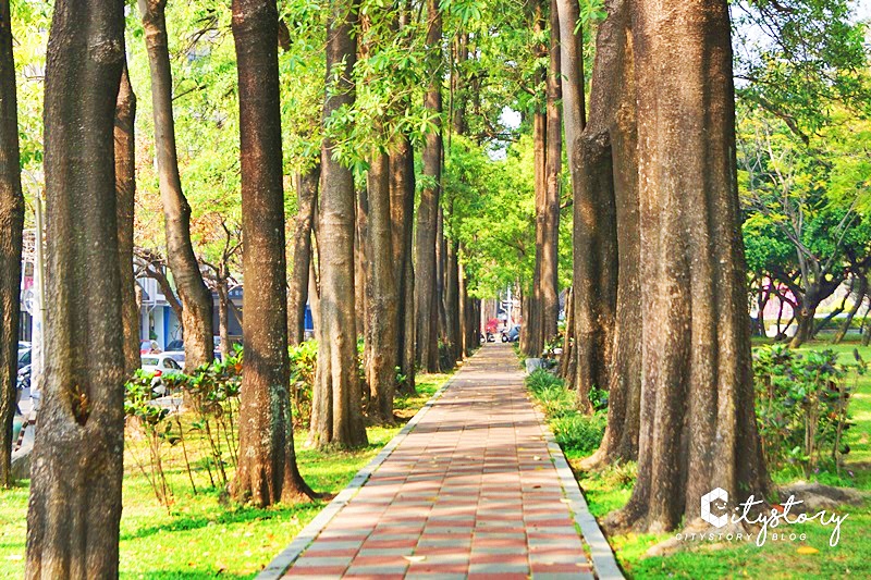 台中草悟道》IG打卡熱點～草悟道粉紅法鬥藝術裝置，經國綠園道文青散步地圖