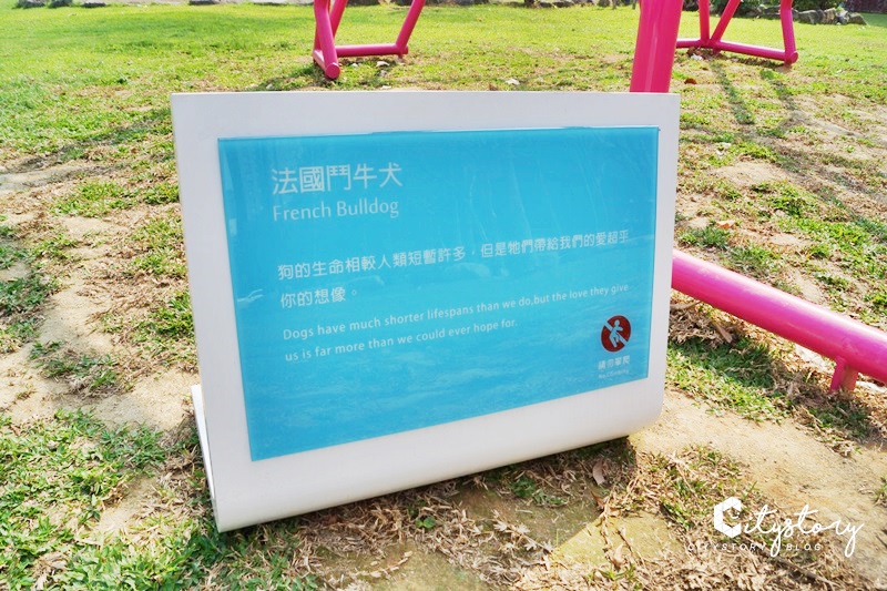 台中草悟道》IG打卡熱點～草悟道粉紅法鬥藝術裝置，經國綠園道文青散步地圖