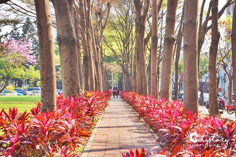 台中草悟道》IG打卡熱點～草悟道粉紅法鬥藝術裝置，經國綠園道文青散步地圖