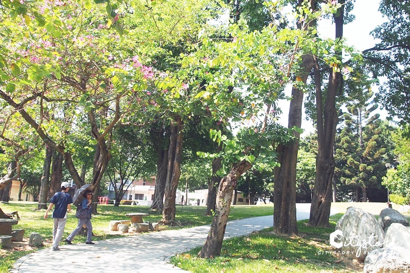 台中冰淇淋溜滑梯》福星公園～巨大冰淇淋磨石溜滑梯，最新夢幻夏日粉紅IG打卡點