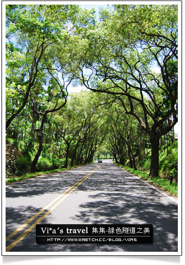 【集集綠色隧道】中部景點一日遊～集集綠色隧道