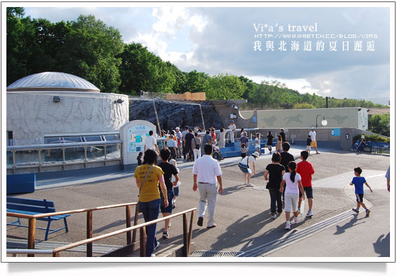 【夏の北海道 】日本旅遊景點大人氣～旭川 - 旭山動物園旭山動物園