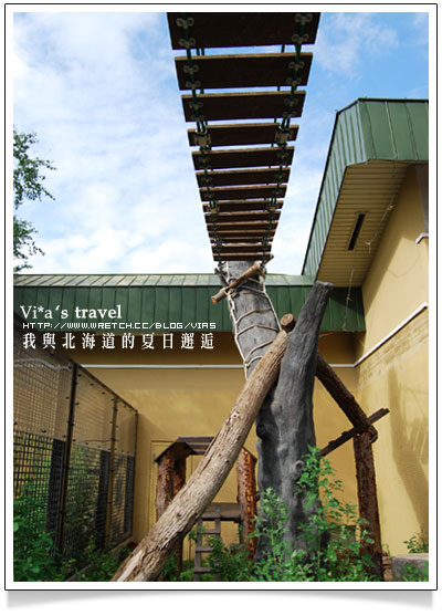 【夏の北海道 】日本旅遊景點大人氣～旭川 - 旭山動物園旭山動物園