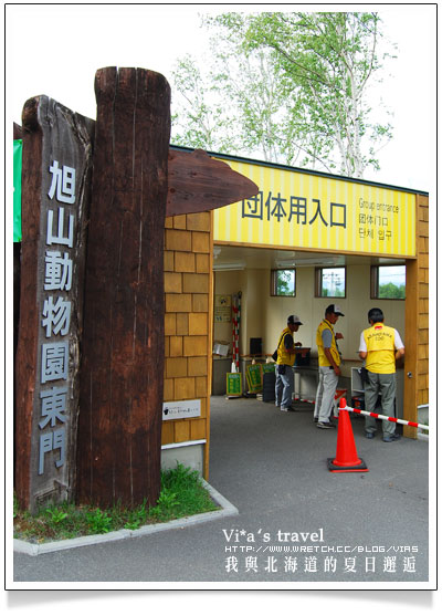 【夏の北海道 】日本旅遊景點大人氣～旭川 - 旭山動物園旭山動物園