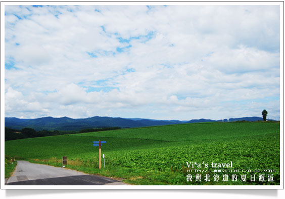 夏の北海道》美瑛拼布大地之美與前田真三拓真館