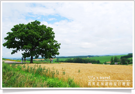 夏の北海道》美瑛拼布大地之美與前田真三拓真館