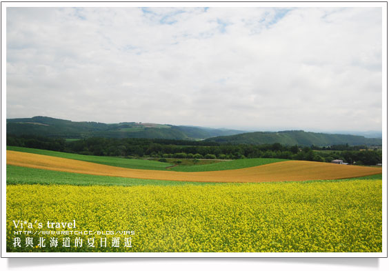 夏の北海道》美瑛拼布大地之美與前田真三拓真館