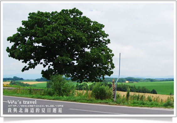 夏の北海道》美瑛拼布大地之美與前田真三拓真館