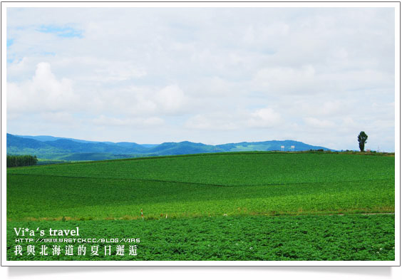 夏の北海道》美瑛拼布大地之美與前田真三拓真館