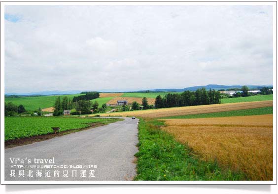 夏の北海道》美瑛拼布大地之美與前田真三拓真館