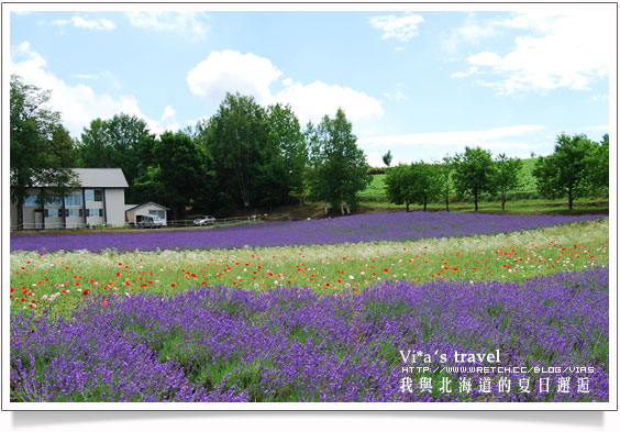 夏の北海道》美瑛拼布大地之美與前田真三拓真館