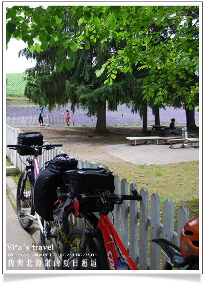 夏の北海道》美瑛拼布大地之美與前田真三拓真館