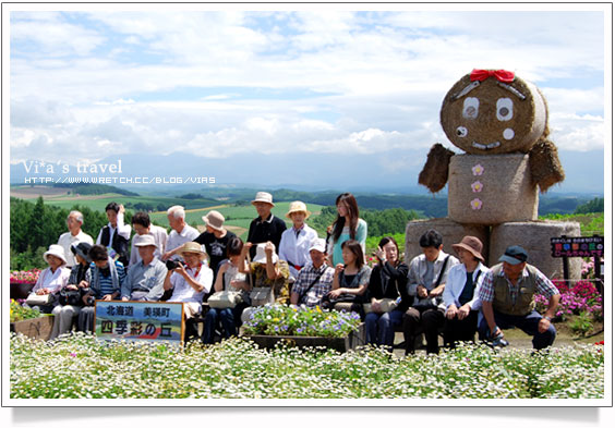 夏の北海道 》美瑛町必去景點～四季彩之丘