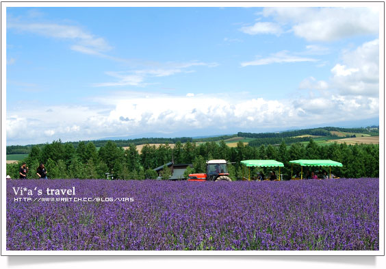 夏の北海道 》美瑛町必去景點～四季彩之丘