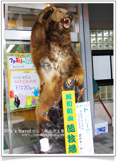 【夏の北海道】小心！熊出沒注意！可愛熊牧場＋昭和新山昭和新山熊牧場