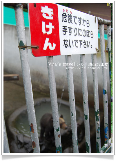 【夏の北海道】小心！熊出沒注意！可愛熊牧場＋昭和新山昭和新山熊牧場