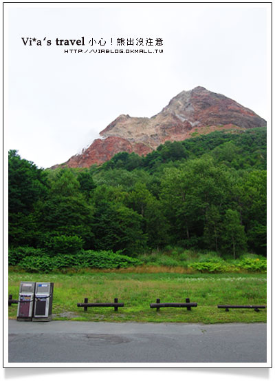 【夏の北海道】小心！熊出沒注意！可愛熊牧場＋昭和新山昭和新山熊牧場