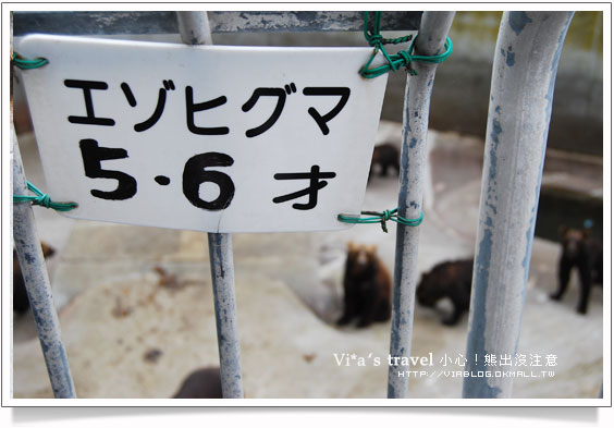 【夏の北海道】小心！熊出沒注意！可愛熊牧場＋昭和新山昭和新山熊牧場