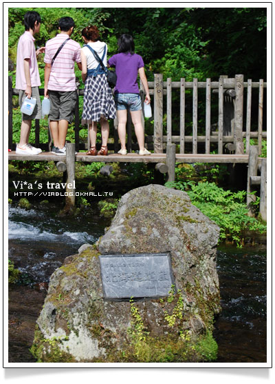 【夏の北海道】京極出水公園-超好吃北海道美食玉米+可樂餅