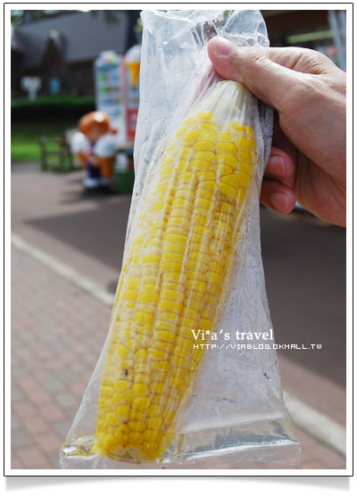 【夏の北海道】京極出水公園-超好吃北海道美食玉米+可樂餅