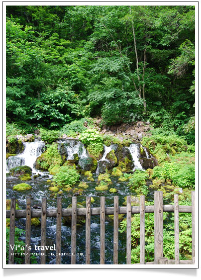 【夏の北海道】京極出水公園-超好吃北海道美食玉米+可樂餅