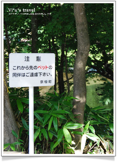 【夏の北海道】京極出水公園-超好吃北海道美食玉米+可樂餅