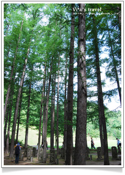 【夏の北海道】京極出水公園-超好吃北海道美食玉米+可樂餅