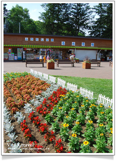 【夏の北海道】京極出水公園-超好吃北海道美食玉米+可樂餅