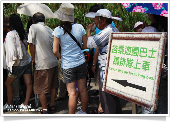 【新竹旅遊景點】新竹好玩的地方 - 六福村野生動物園