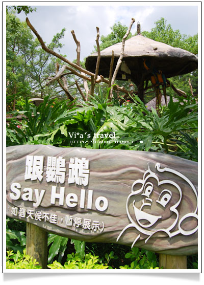 【新竹旅遊景點】新竹好玩的地方 - 六福村野生動物園