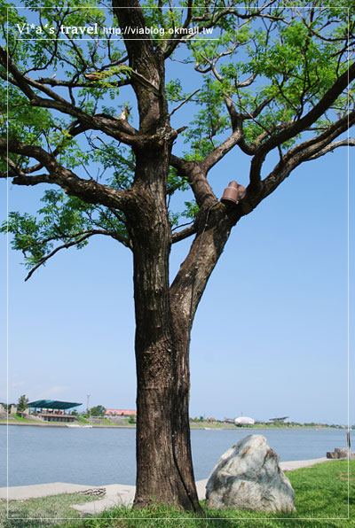 命中註定我愛你》宜蘭景點｜冬山河親水公園青龍岸