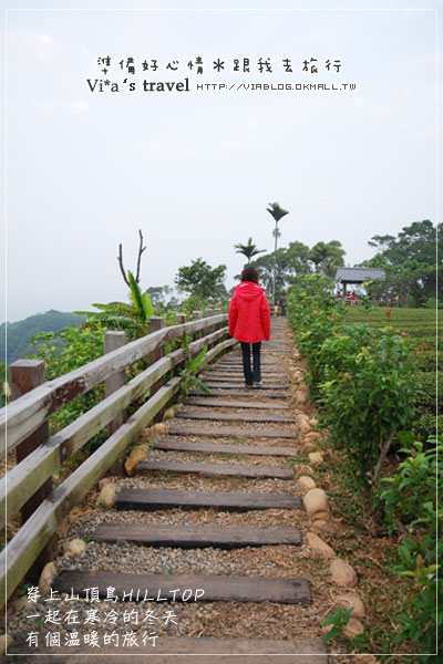 【分享】穿上山頂鳥羽絨衣，在寒冬中溫暖的旅行