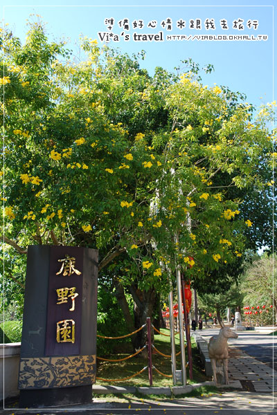 南投埔里一日遊》埔里中台禪寺之旅