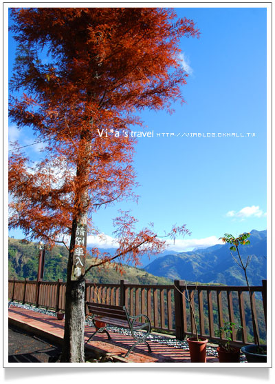 清境民宿》來福居會館/見晴花園渡假山莊(見晴新館)－冬季美景