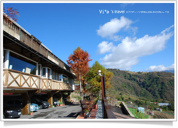 清境民宿》來福居會館/見晴花園渡假山莊(見晴新館)－冬季美景