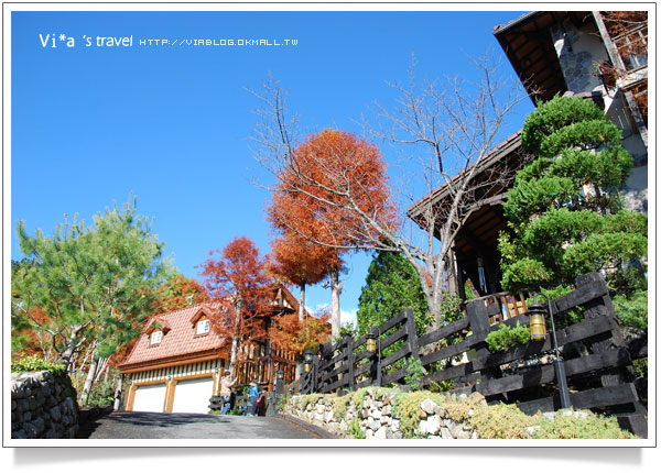 清境民宿》來福居會館/見晴花園渡假山莊(見晴新館)－冬季美景