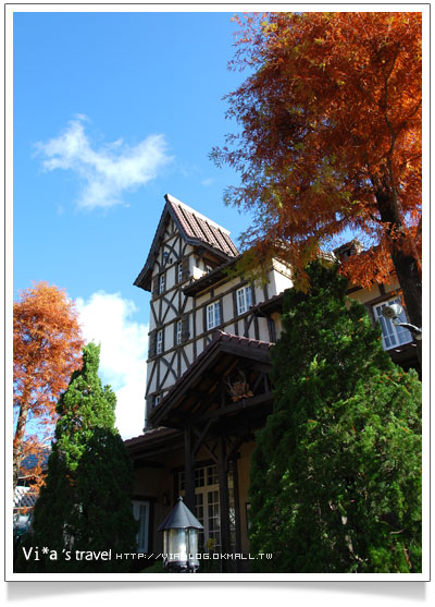 清境民宿》來福居會館/見晴花園渡假山莊(見晴新館)－冬季美景