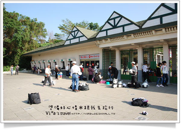 台北市立動物園》台北木柵動物園貓熊～團團圓圓熊貓一日遊