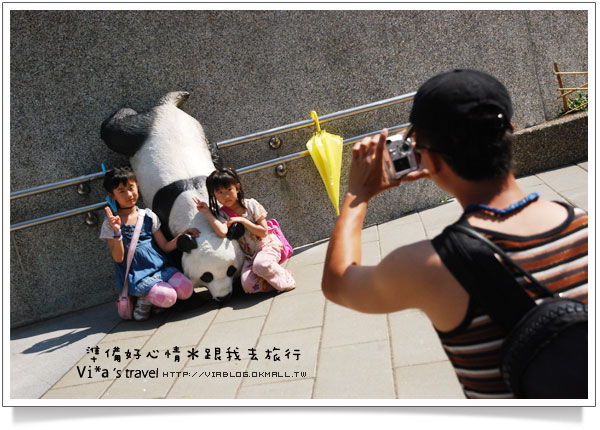 台北市立動物園》台北木柵動物園貓熊～團團圓圓熊貓一日遊