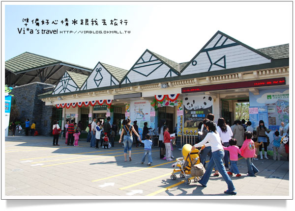 台北市立動物園》台北木柵動物園貓熊～團團圓圓熊貓一日遊