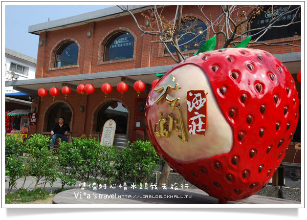 【苗栗一日遊】苗栗大湖草莓季之旅～大湖酒莊／大湖草莓文化館