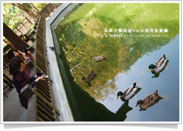 【苗栗大湖民宿餐廳】大湖美食～山水居餐廳民宿