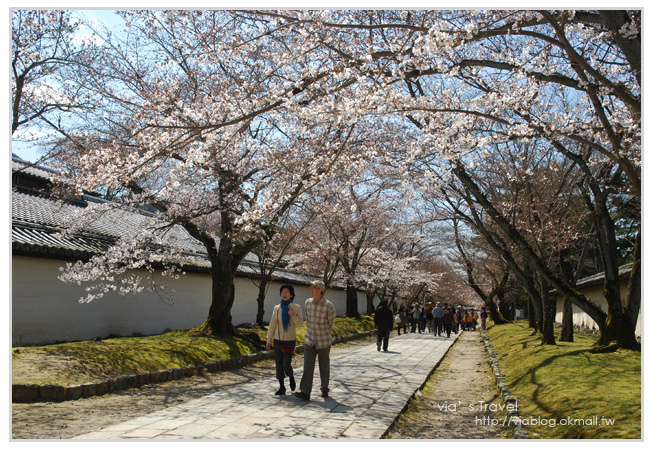 【京都旅遊】Via的京都自由行第2天～京都醍醐寺