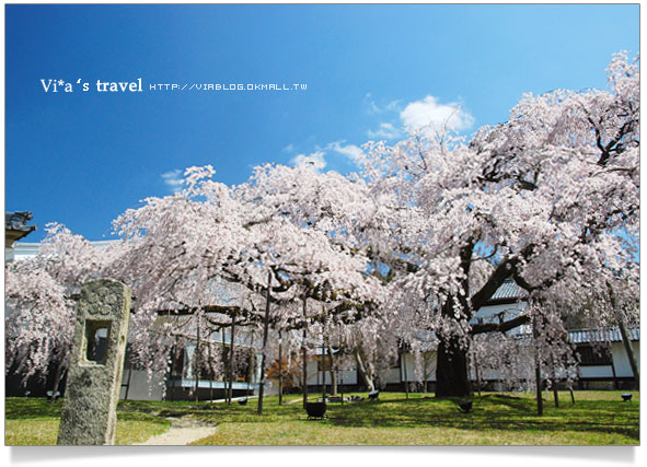 【京都旅遊】Via的京都自由行第2天～京都醍醐寺