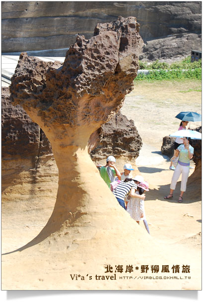 【北海岸一日遊】野柳風景區～野柳地質公園一日遊