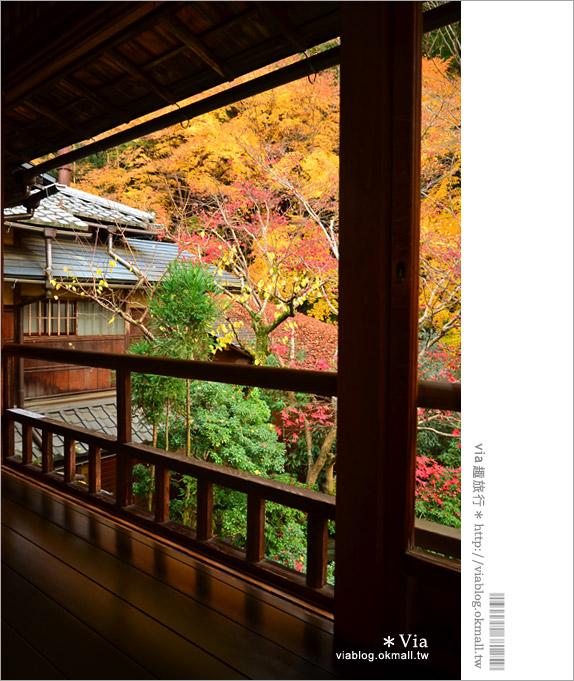 京都賞楓景點》京都琉璃光院～美翻！日式屋廊與紅葉結合的美景！