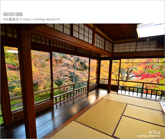 京都賞楓景點》京都琉璃光院～美翻！日式屋廊與紅葉結合的美景！