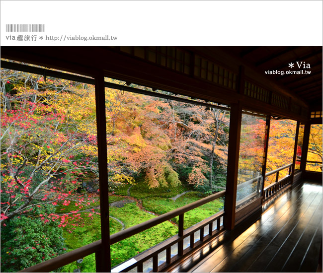 京都賞楓景點》京都琉璃光院～美翻！日式屋廊與紅葉結合的美景！