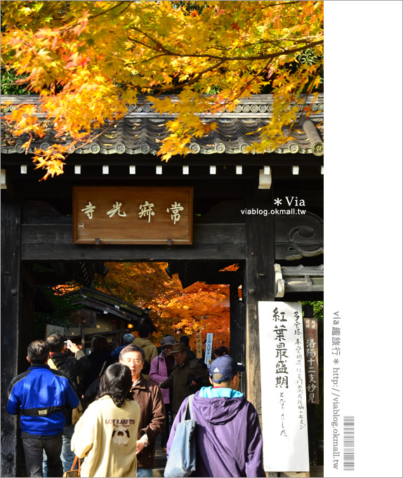 京都賞楓推薦》京都常寂光寺～一生必去一次的賞楓景點！